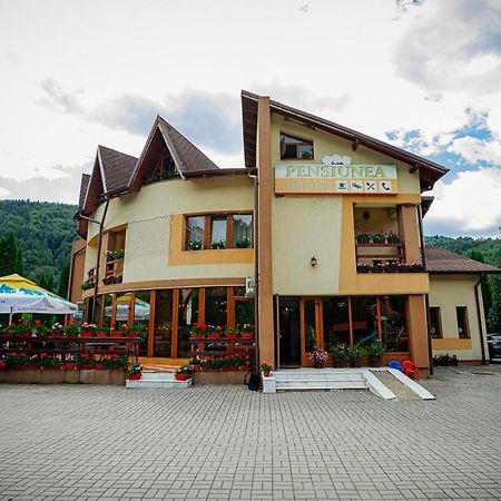 Pensiunea Floare de Colţ Dragoslavele Exterior foto
