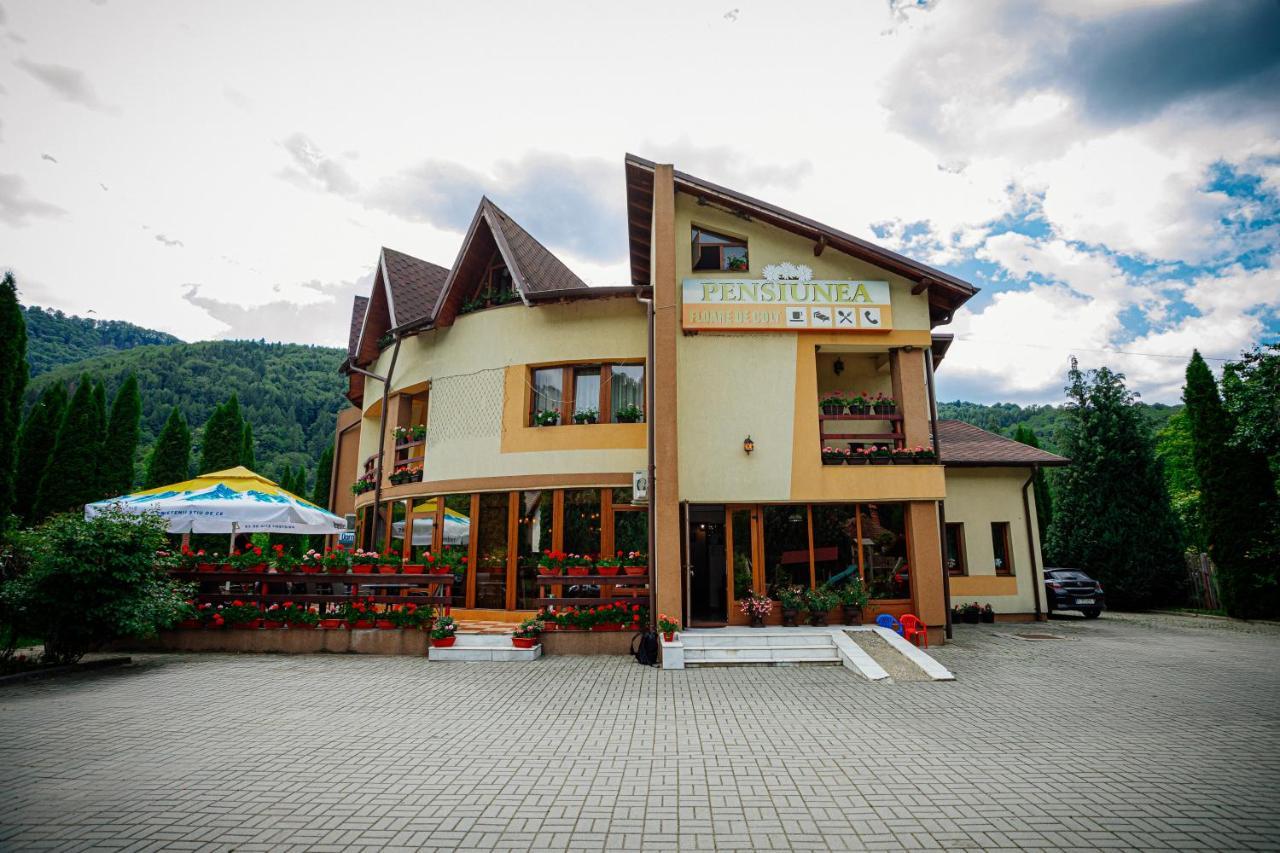 Pensiunea Floare de Colţ Dragoslavele Exterior foto