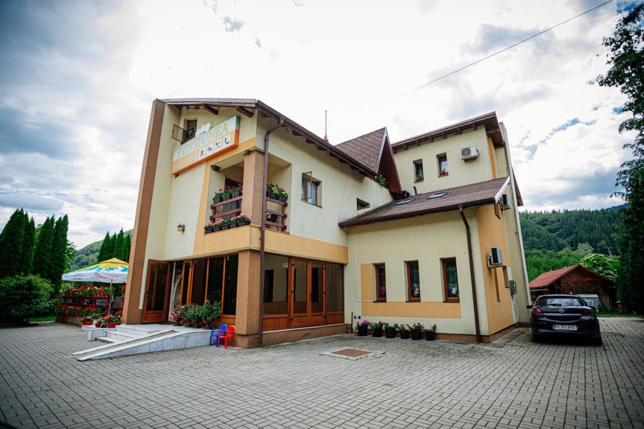 Pensiunea Floare de Colţ Dragoslavele Exterior foto