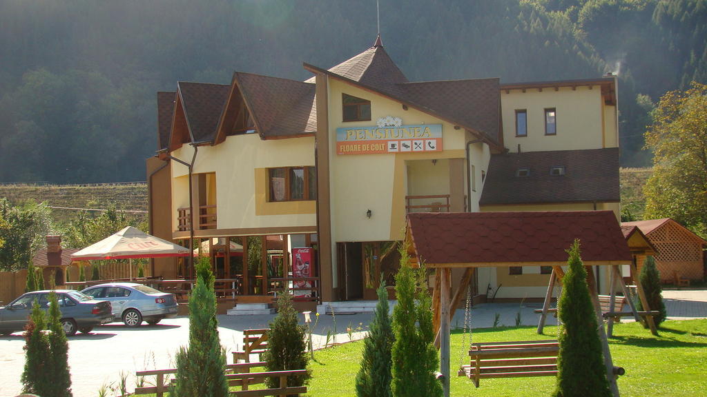 Pensiunea Floare de Colţ Dragoslavele Exterior foto