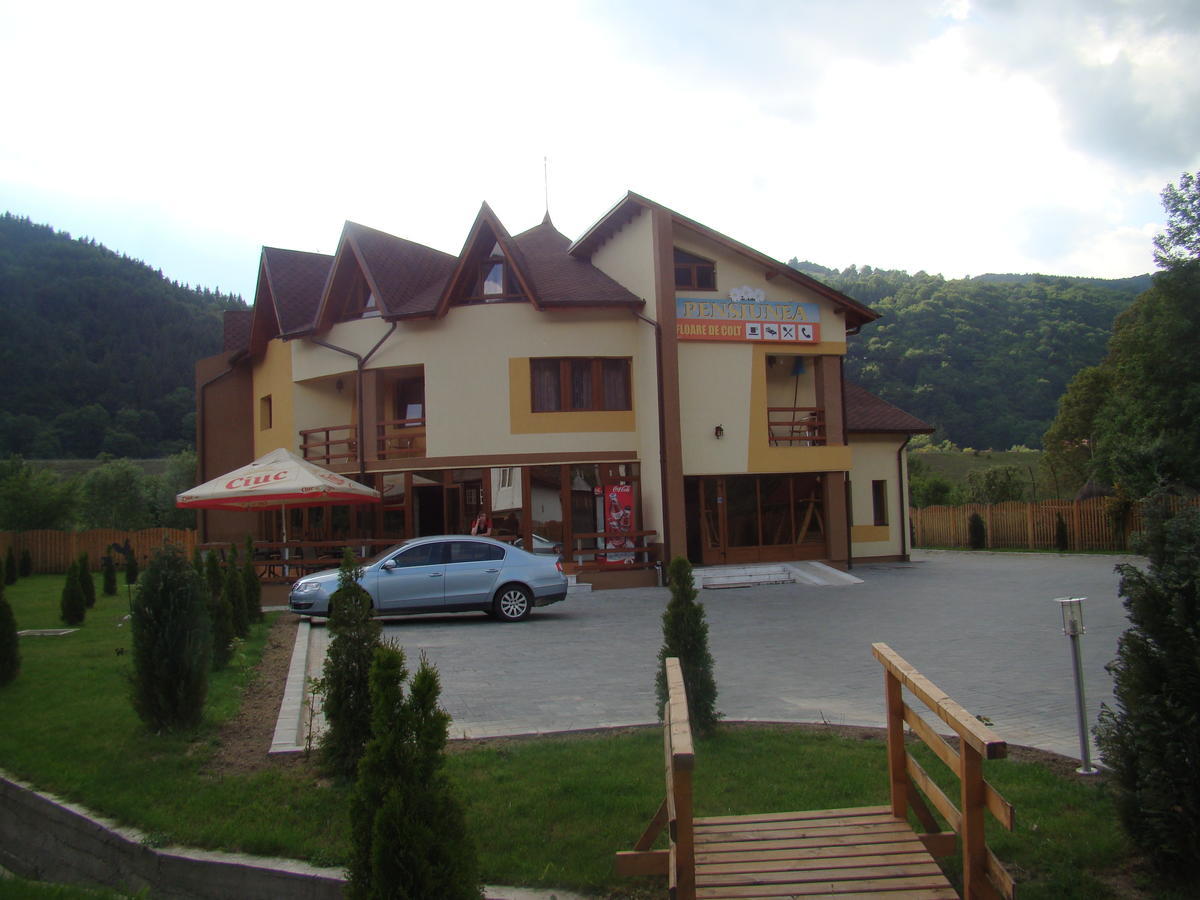 Pensiunea Floare de Colţ Dragoslavele Exterior foto