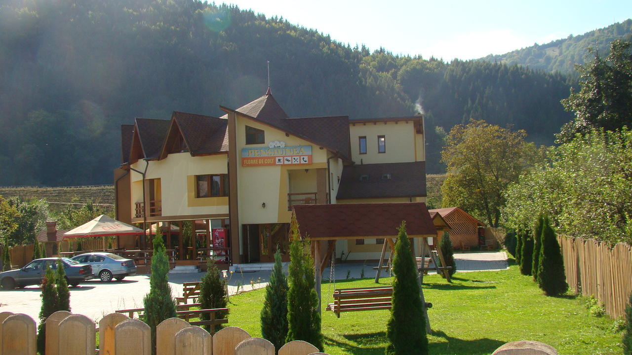 Pensiunea Floare de Colţ Dragoslavele Exterior foto