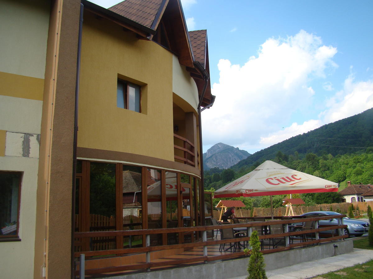 Pensiunea Floare de Colţ Dragoslavele Exterior foto