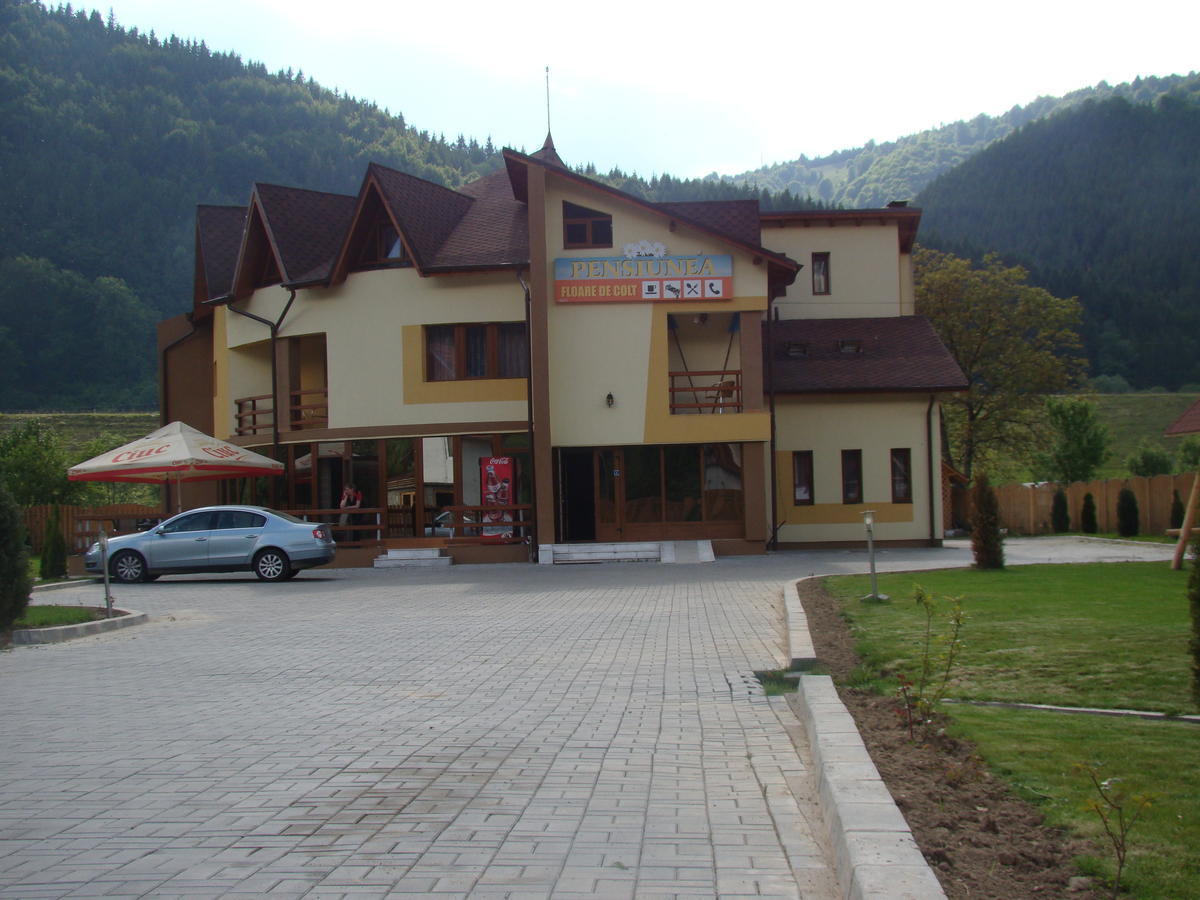 Pensiunea Floare de Colţ Dragoslavele Exterior foto