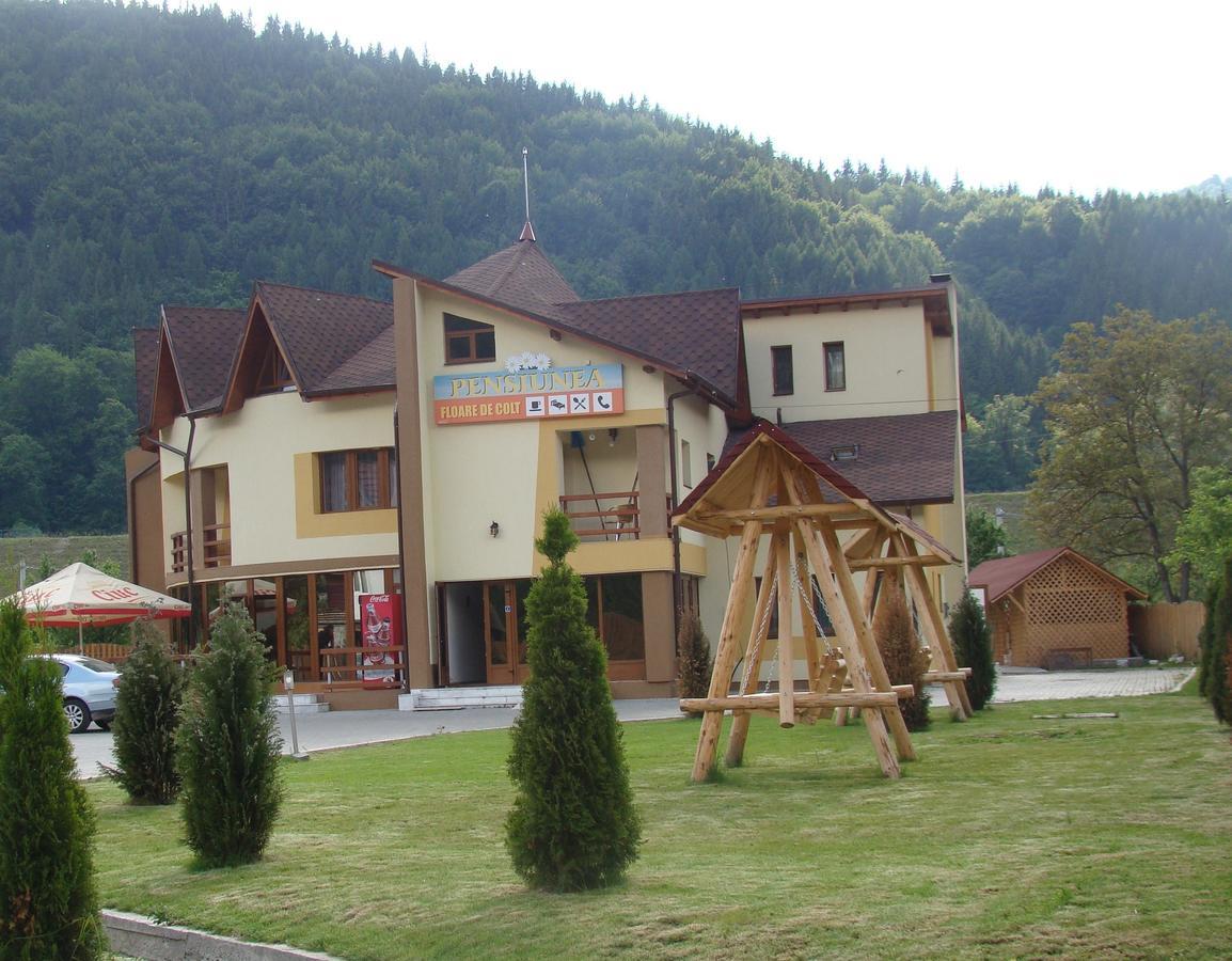 Pensiunea Floare de Colţ Dragoslavele Exterior foto