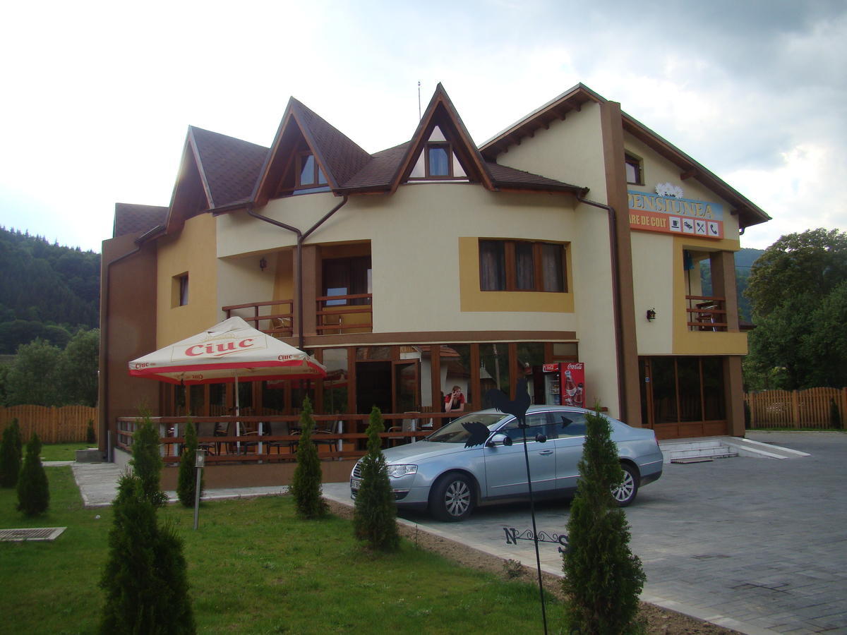 Pensiunea Floare de Colţ Dragoslavele Exterior foto