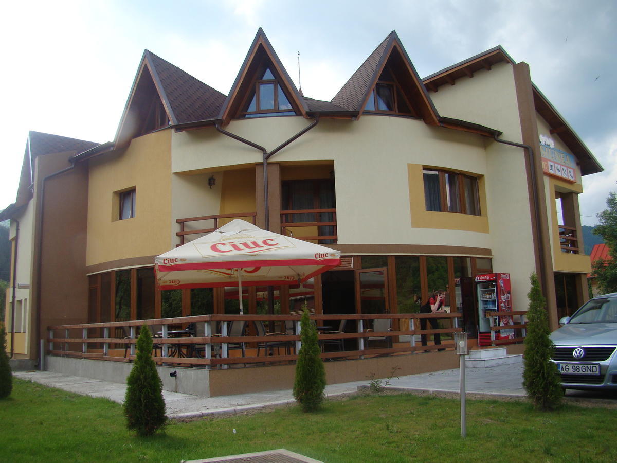 Pensiunea Floare de Colţ Dragoslavele Exterior foto