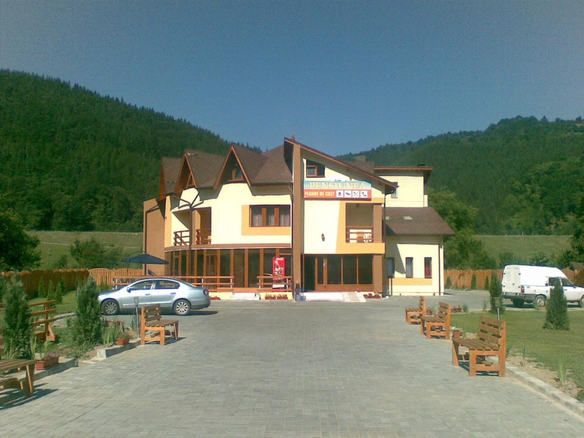 Pensiunea Floare de Colţ Dragoslavele Exterior foto