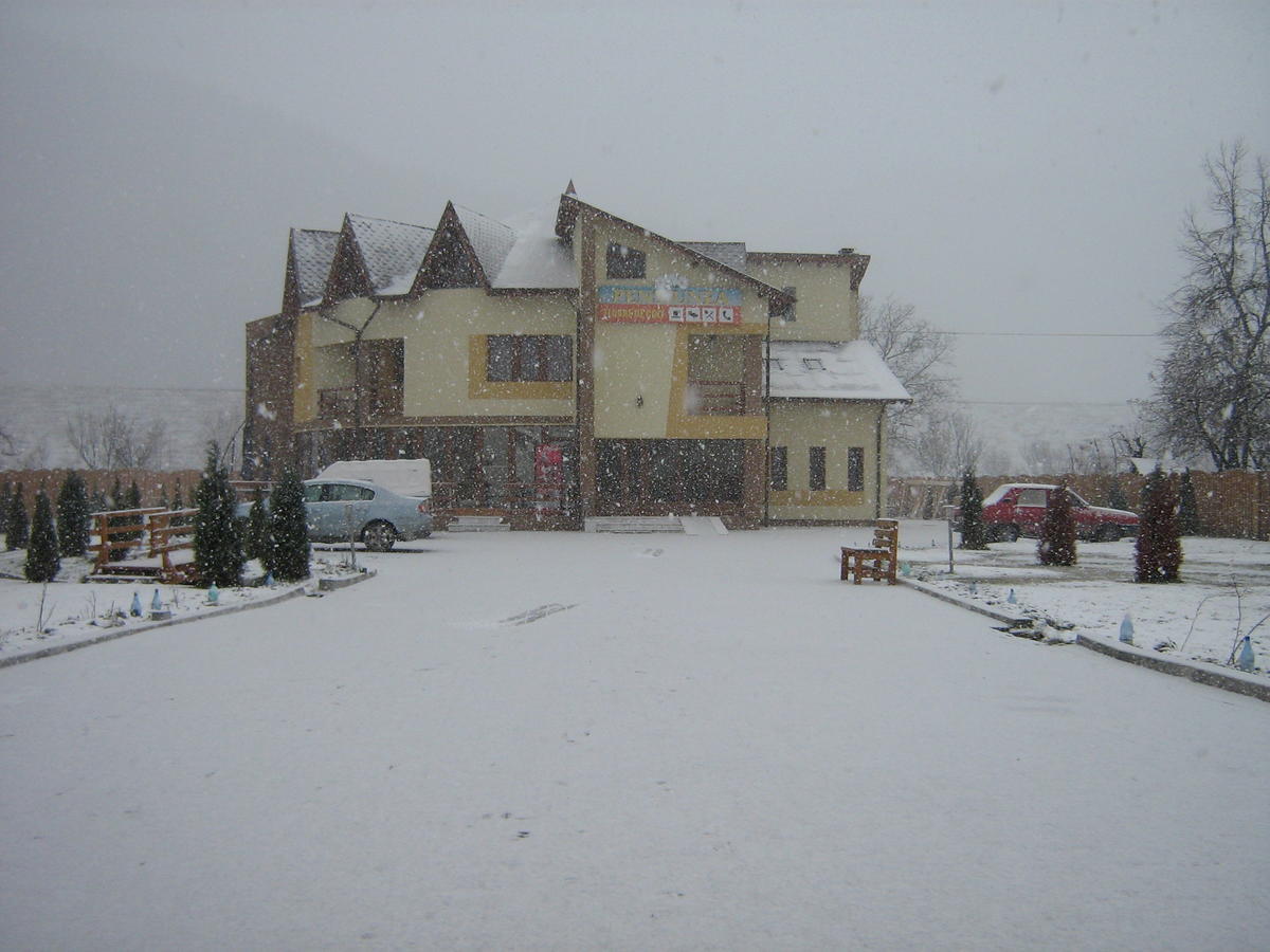 Pensiunea Floare de Colţ Dragoslavele Exterior foto