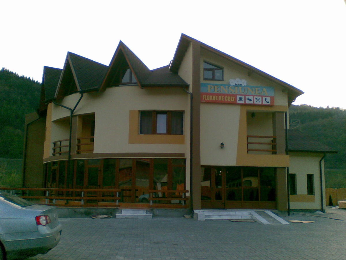 Pensiunea Floare de Colţ Dragoslavele Exterior foto